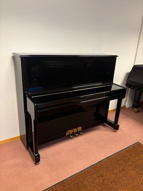 Palatino UP-123 