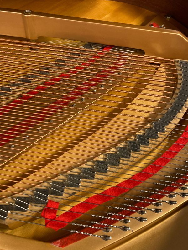 Kawai mod. GS-30 186cm