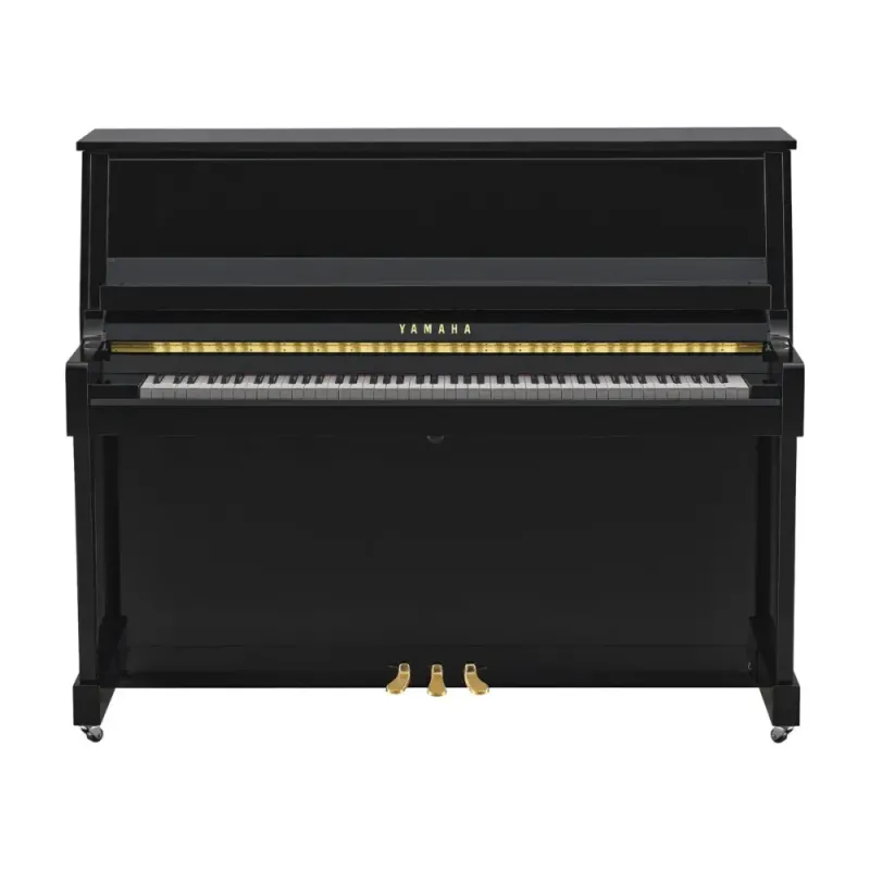 Yamaha B30 PE