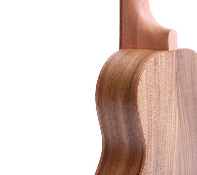 Morgan CG 10 Guk Guitalele N