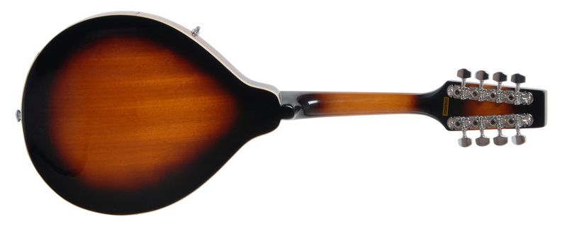 Morgan Mandolin M 20 Vs