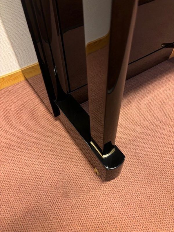 Palatino UP-123 